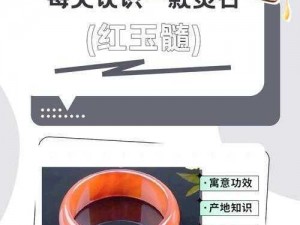 璀璨奇珍：红玉髓之心脉传承之秘