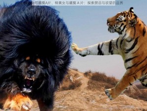 特黄女与藏獒A片、特黄女与藏獒 A 片：探索禁忌与欲望的边界