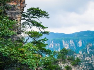 落神之地探秘：自然美景与人文魅力的融合之旅，落神之地深度简介及游玩体验分享