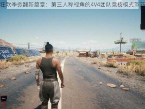 盛夏狂欢季掀翻新篇章：第三人称视角的4V4团队竞技模式革新揭秘