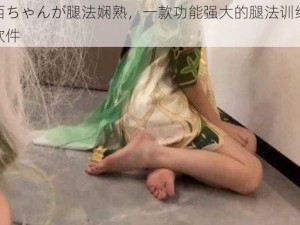 纳西ちゃんが腿法娴熟，一款功能强大的腿法训练辅助软件