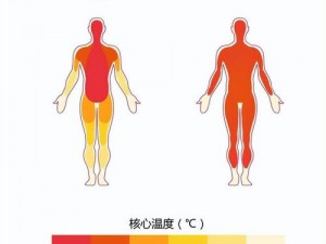 明日体温偏低如何应对：有效处理低温状况的策略与建议