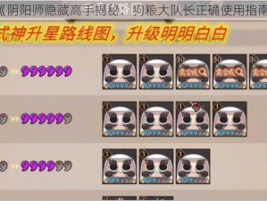 《阴阳师隐藏高手揭秘：狗粮大队长正确使用指南》