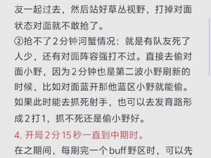 寡妇打野常见 Bug 与对策：提升游戏体验的必备指南