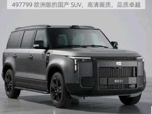 497799 欧洲版的国产 SUV，高清画质，品质卓越