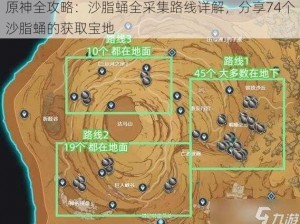 原神全攻略：沙脂蛹全采集路线详解，分享74个沙脂蛹的获取宝地