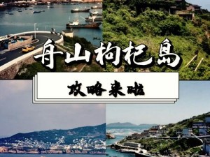 小森生活海岛探险之旅：组队启程，共赴未知之境