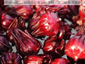 红桃KAV无码一区二—如何在红桃 KAV 无码一区二中获得更好的体验？