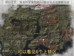 明日之后：麻茎杆采集攻略——最佳地点与策略分享