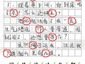 汉字找茬王：攻略分享——高效找出日记中的错别字秘诀全解析