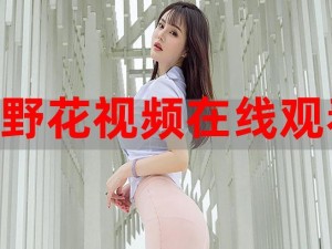 野花视频在线观看最新神马;野花视频在线观看最新神马，无需注册，高清画质