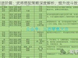 大国战攻略进阶篇：武将搭配策略深度解析，提升战斗效能全面指南