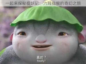 一起来探秘捉妖记：六耳猕猴的奇幻之旅