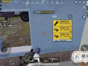 PUBG快速拾取秘籍分享：实战中的高效捡物技巧解析