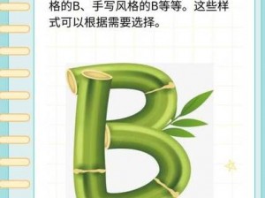 B 型照片共有多少种？