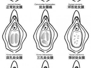 第一次处破女 18 分钟毛片体验真实的爱情故事