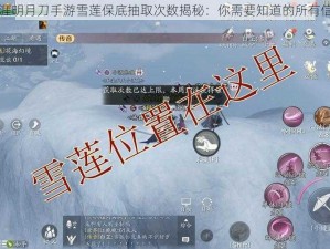 天涯明月刀手游雪莲保底抽取次数揭秘：你需要知道的所有信息