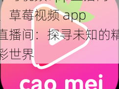 草莓视频app直播间、草莓视频 app 直播间：探寻未知的精彩世界