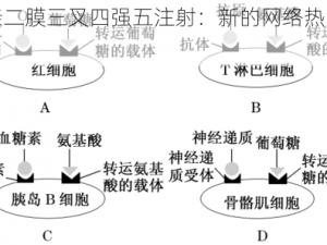 一亲二膜三叉四强五注射：新的网络热点词汇？