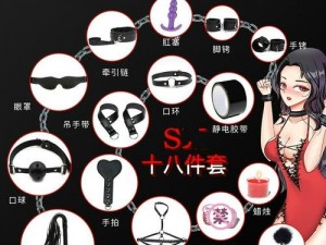 女人 18 片毛片 60 分钟，提升夫妻生活质量的情趣用品