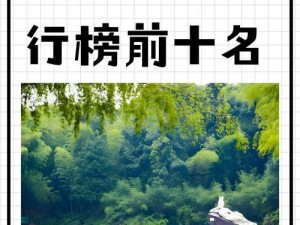 四川 BB 站，带你领略四川的美丽与魅力