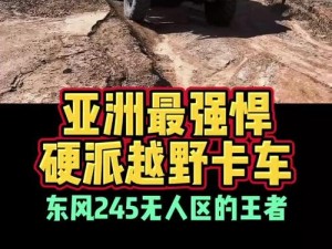 亚洲无人区一卡 2 卡 3 卡：一款适用于亚洲无人区的多卡合一设备，让你畅游亚洲无国界