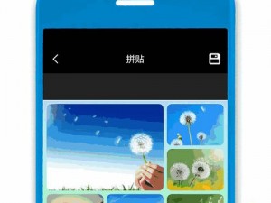 抖抈 app 入口免费，一款提供丰富短视频内容的社交平台