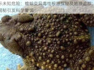 揭示未知危险：蟾蜍变异毒性根源探秘及地理追踪：起源揭秘引发科学警惕