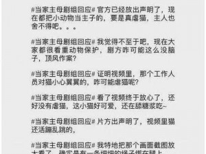 当家主母影视评分详解：豆瓣上的表现与观众反馈