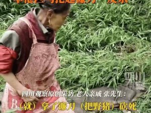 野外老太被热议，网友纷纷表示惊讶