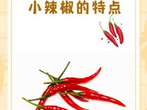 解密成品大香伊煮和小辣椒：独特风味，舌尖上的诱惑