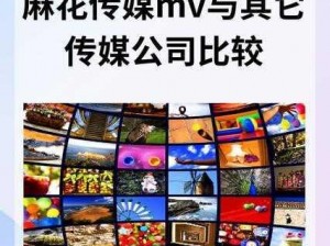 麻花传媒MV一二三区别在哪里 麻花传媒 MV 一二三有何区别？