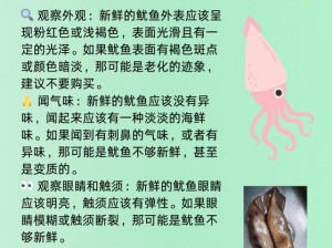 探索海洋奥秘：鱿鱼行为特点及科学养殖方法分享