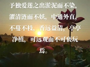 探索爱莲说：创新交互玩法资讯，沉浸式体验莲之魅力