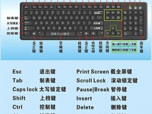 XD5PC版键盘操作技巧详解大全：全方位提升输入效率与舒适度