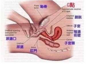 啊轻点灬太粗太长了第 2 季，让你体验前所未有的刺激感受