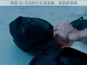 男男 GV 无码钙片在线观看：探索新领域