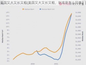 美国又大又长又租(美国又大又长又租，到底是怎么回事？)