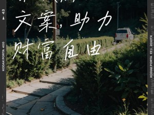 开店创富新篇章：追寻财富之旅与自我实现之旅的融合简介：我要开店暴富新启程