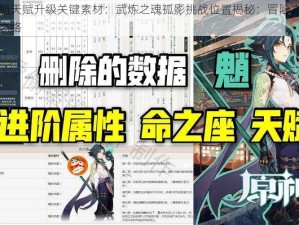 原神魈天赋升级关键素材：武炼之魂孤影挑战位置揭秘：冒险之旅的必经之路