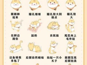 猫之城情绪测试全面解析：多种情绪特征一览，探寻你的猫性特质之旅