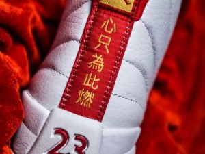 AIRJORDAN 重口只有付费才能访问回复，购买后可获得独特的篮球体验