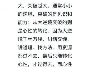 困境中的乐趣探寻：逆境中的挑战与突破简介