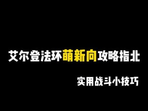 环行旅舍战斗玩法详解：攻略助你轻松掌握战斗技巧与策略