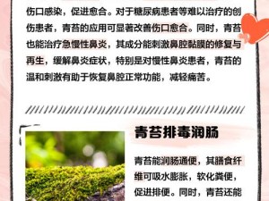 冰原守卫者青苔的生态功能与重要作用探究