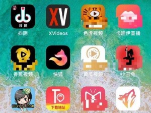 xvideos 中文版安装包，功能强大，使用方便