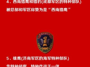 特种部队突击队实战玩法详解：闯关攻略与技巧分享，实战指南助你轻松挑战高难度关卡