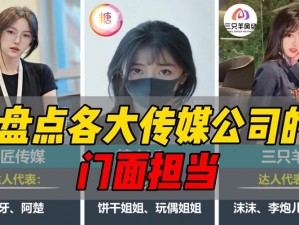 乌鸦传媒 乌鸦传媒：揭秘娱乐圈黑幕还是制造谣言？