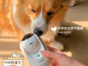 ZoomZookeeper 狗——智能追踪器，让你的宠物安全无忧