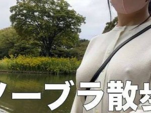 日本高清 WWW 免费视频，无广告骚扰，纯净观看体验